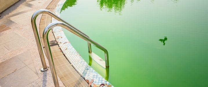 zelená voda v bazénu